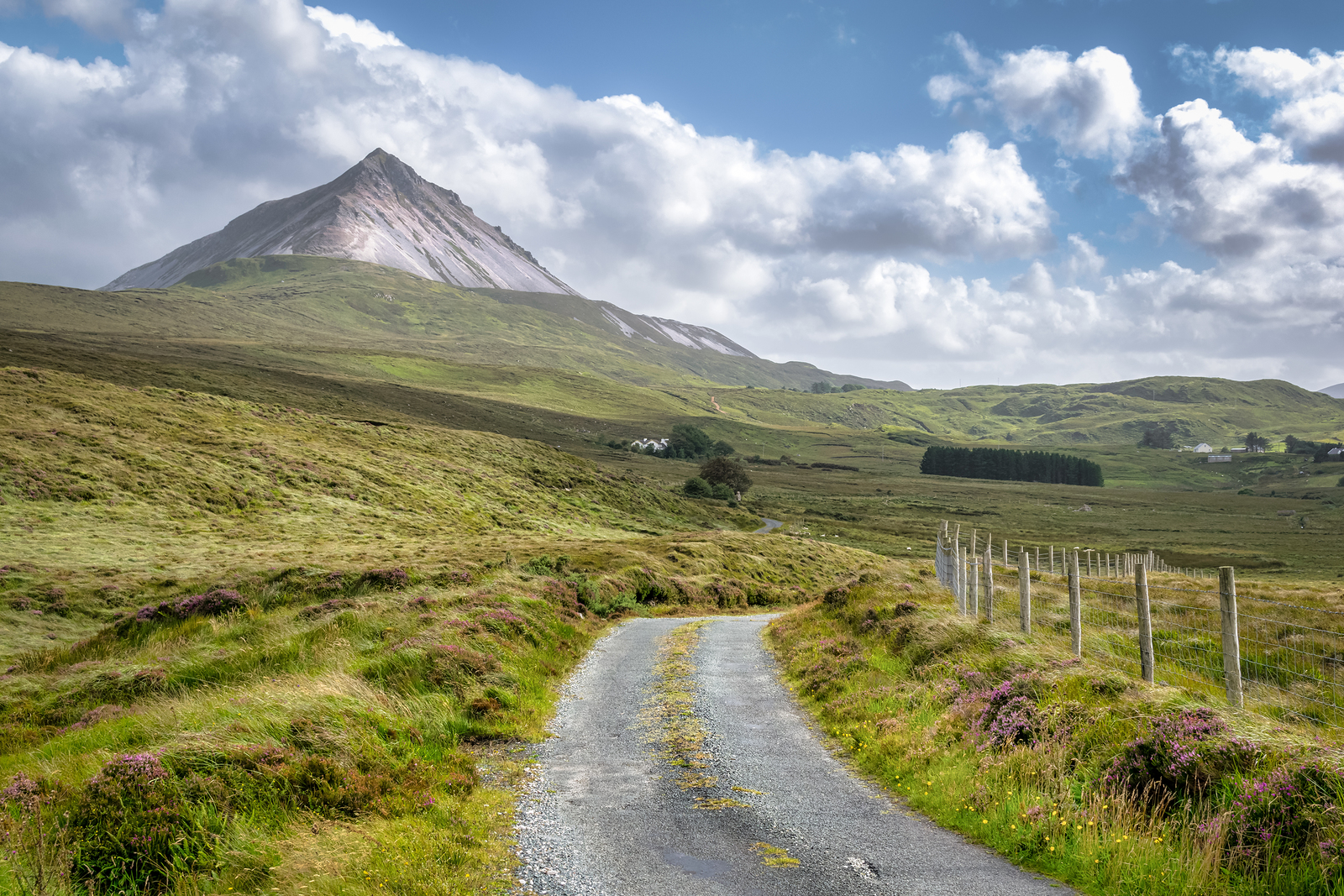 how to rent a car in ireland