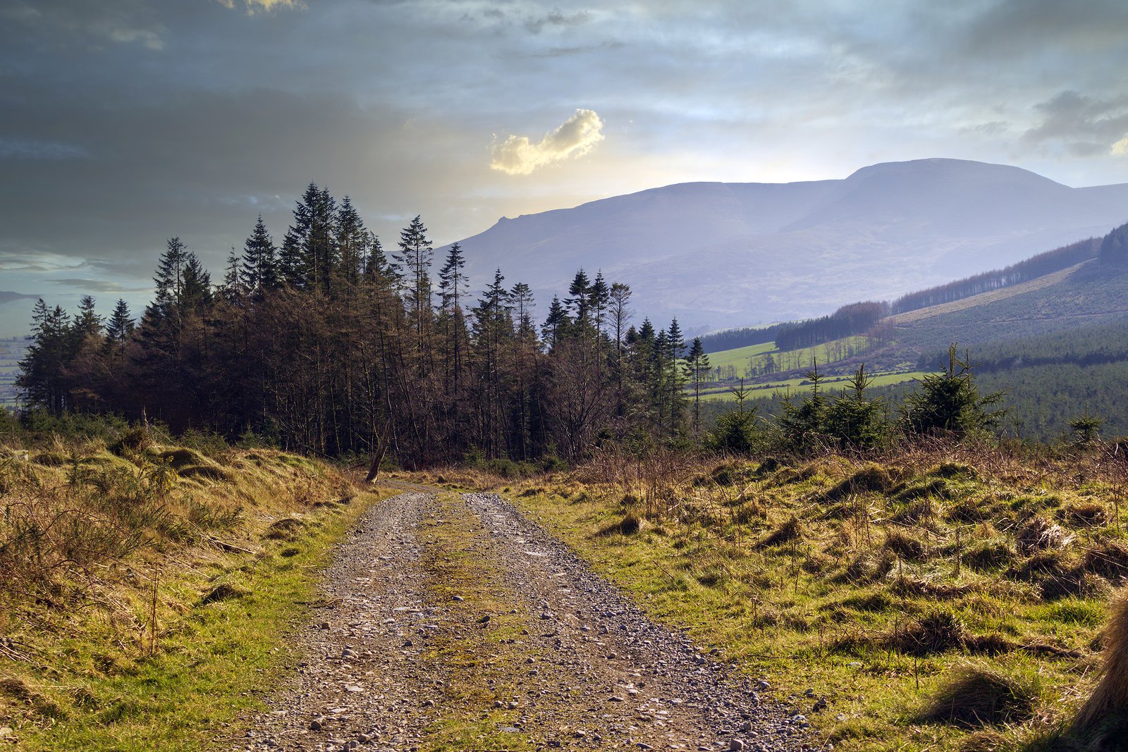 What age can you rent a car in ireland