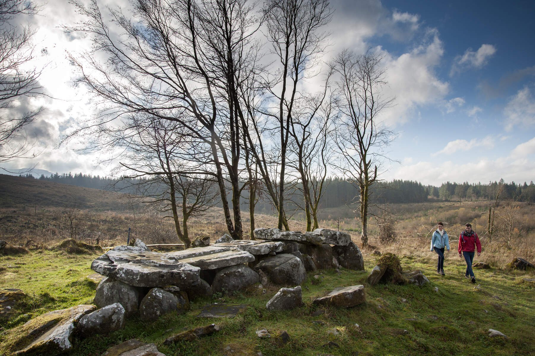 cavan burren park